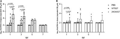 Few Amino Acid Mutations in H6 Influenza A Virus From South American Lineage Increase Viral Replication Efficiency in Poultry